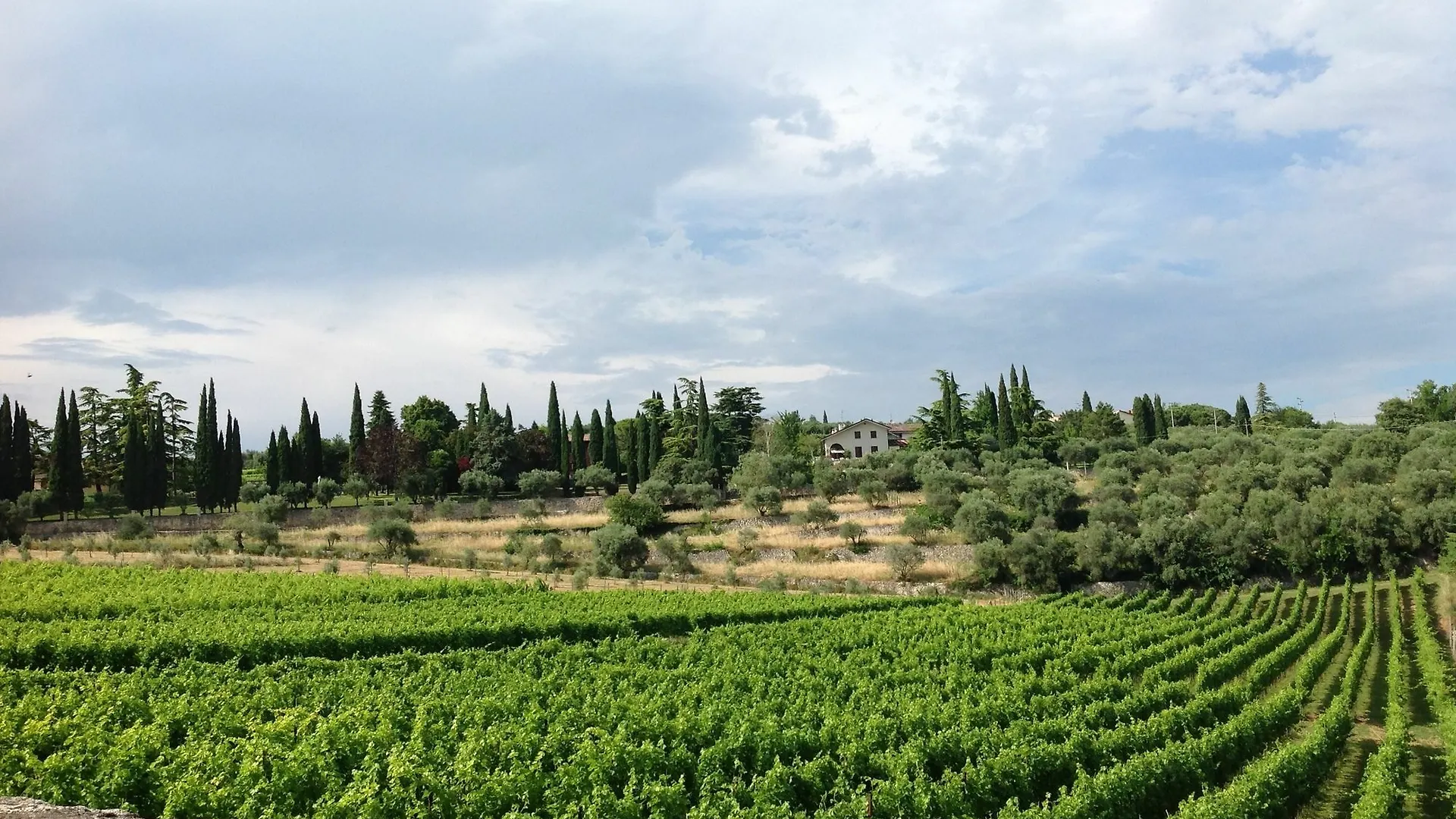 Agriturismo Corte San Dionigi Verona Hotel